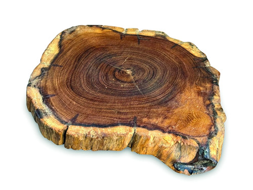 Small teak root slice placemat - teak,